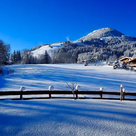 Steininga #Staysmart Kirchberg in Tirol